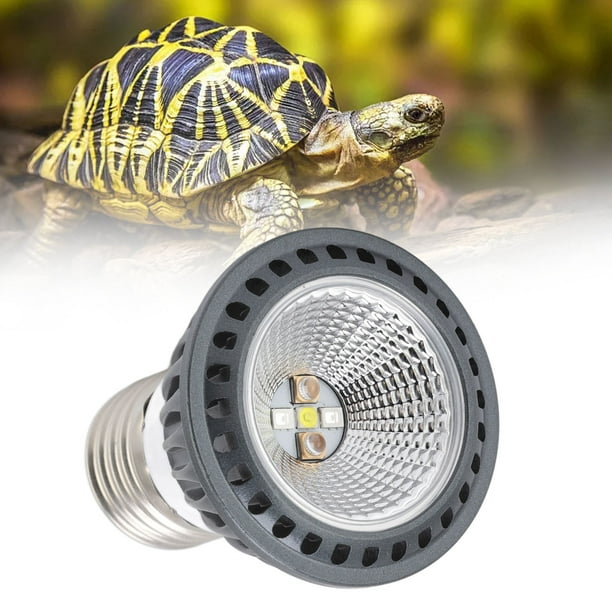Ampoule de lampe chauffante pour reptiles, véritable émetteur de chaleur  pour animaux de compagnie, kit de chauffage pour poulailler, lézard,  tortue, serpent 