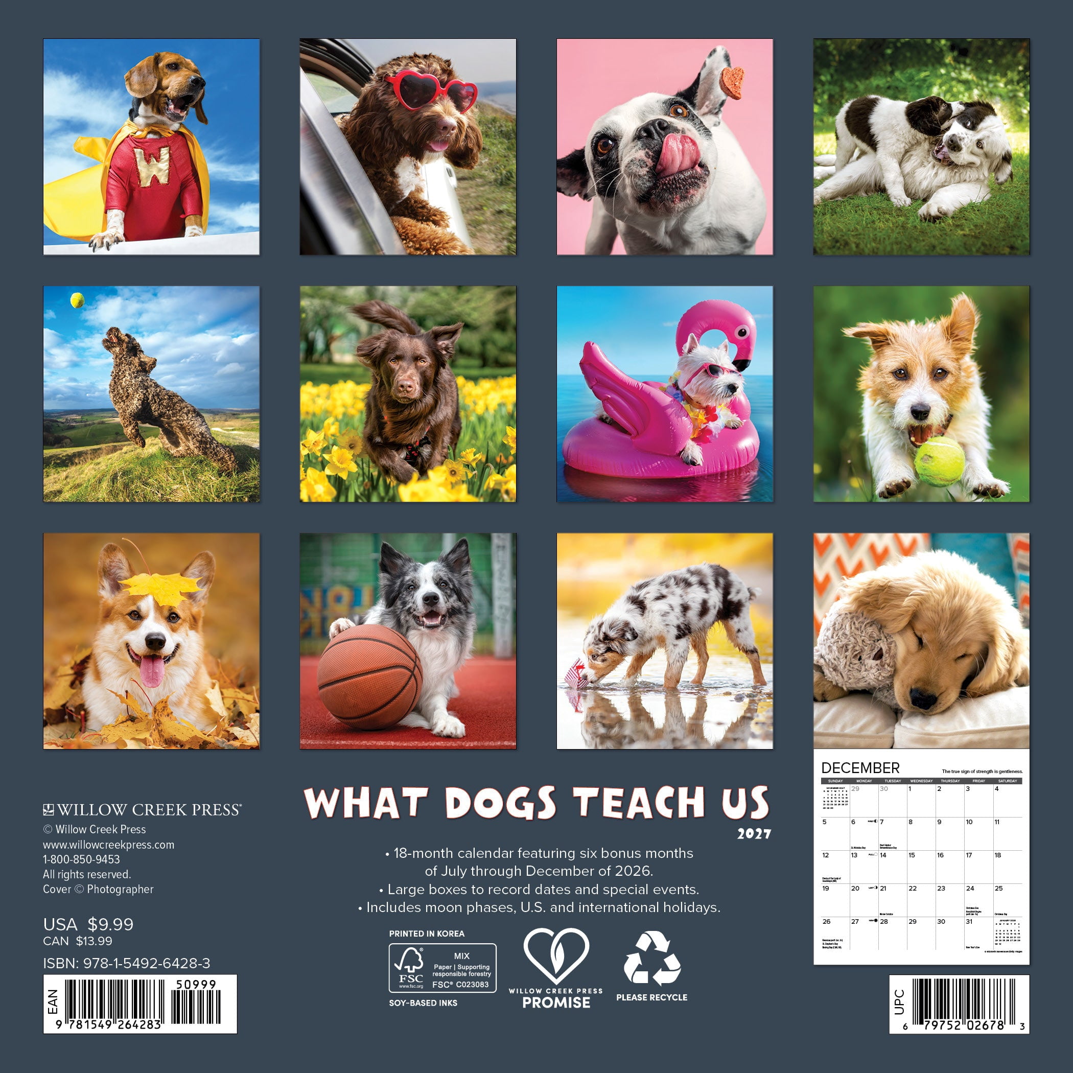 Willow Creek Press, What Dogs Teach Us 2027 Mini Wall Calendar