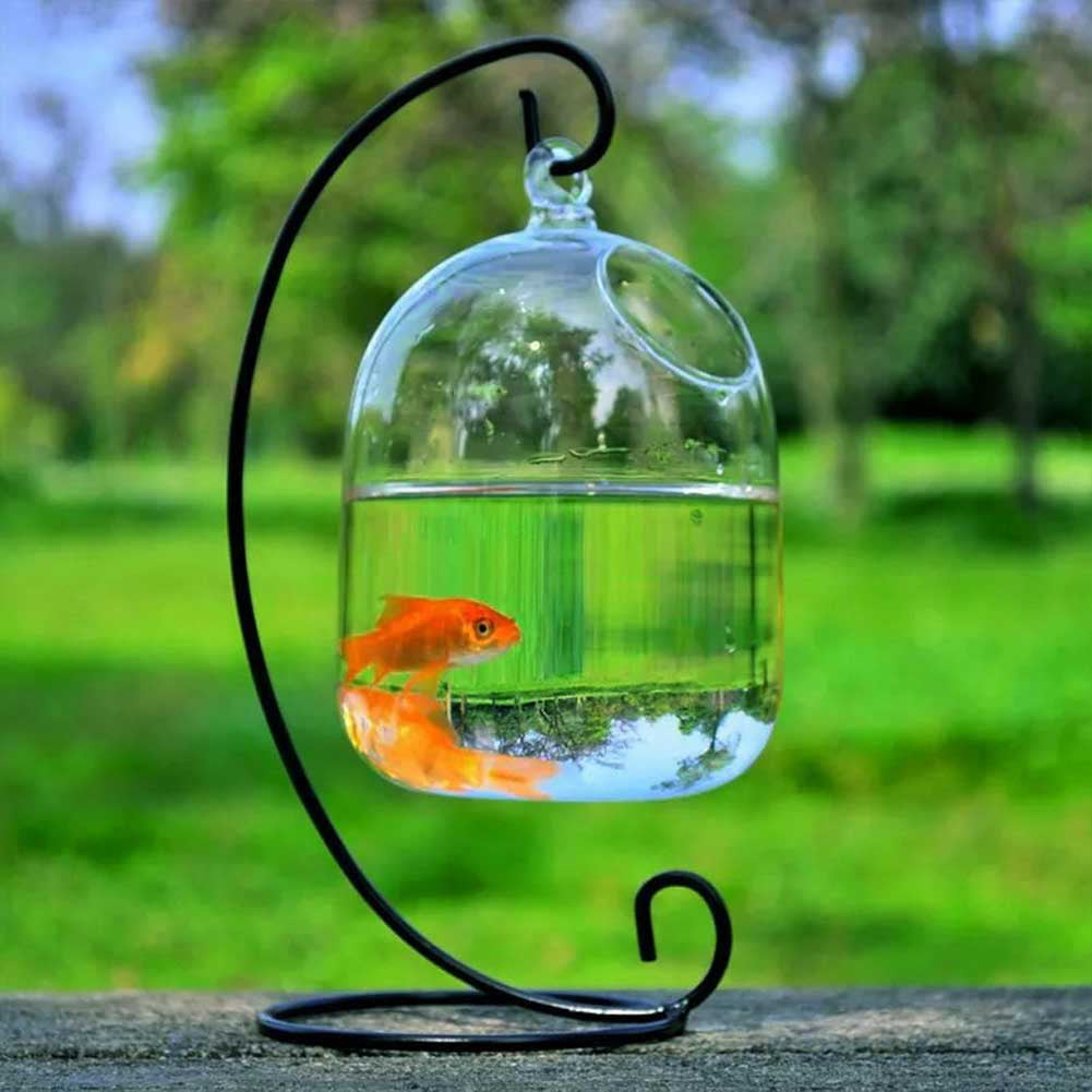 Wall Mouted Creative Hanging Glass Flower Vase Hydroponics Bottle Fish Bowl 