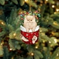 thumbnail image 4 of BKER Christmas Acrylic Christmas Stockings For Cats Decorations Christmas Tree Decorations Crafts Hanging Decorations, 4 of 4