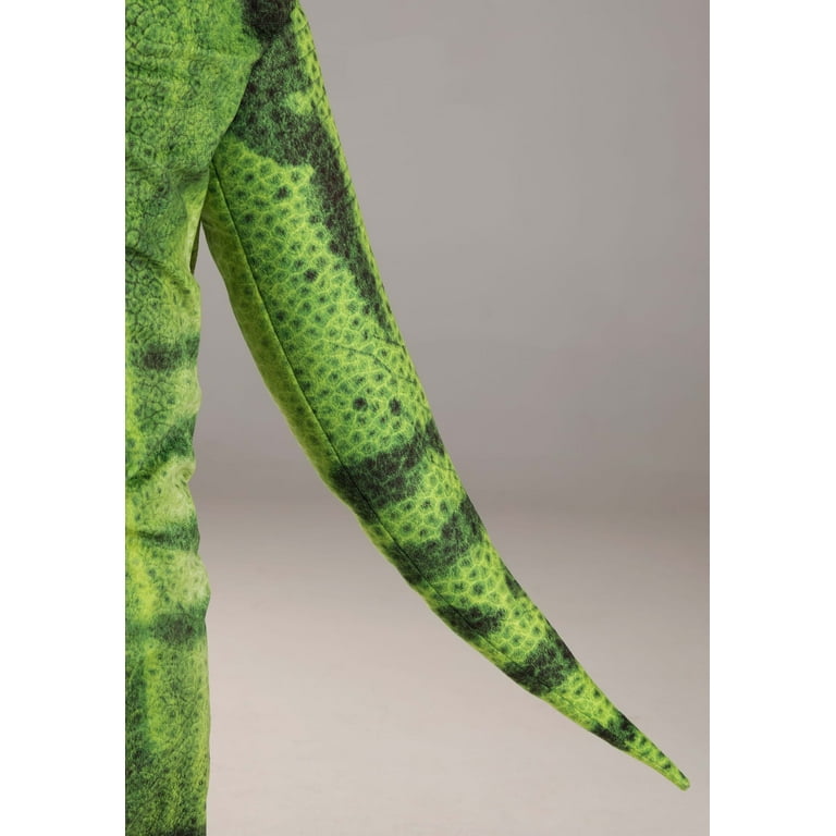Adult on sale dinosaur leggings