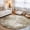 Brown, Beige, Tan, White, variant on Rectangle Area Rugs 2 x 3 Ft, Shabby Sage Green Non-Slip Residential Carpet, Oil Painting Vintage Art Green White Indoor Crawling Mats Runner Rugs for Living Room/Dining Room/Bedroom