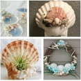 thumbnail image 4 of 4PCS Large Natural Sea Shells for Crafts, 5"-5.5" White Scallop Shells for Home Decor/Beach Weddings – Painting/Crafts (Home Decor, Kitchen, & Other), 4 of 7