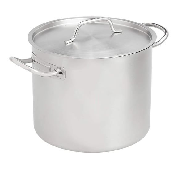 Basics 12 quarts Stainless Steel Aluminum-Clad Stock Pot with Cover