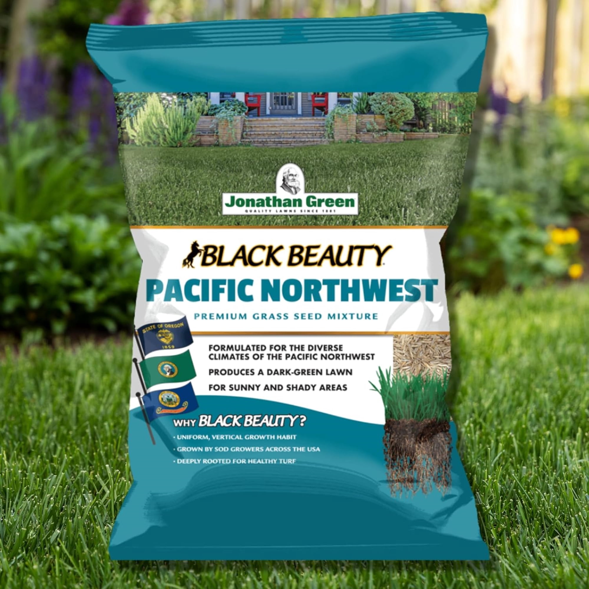 Jonathan Green Black Beauty Grass Seed - Drought-Tolerant, Filtered Sun - 3 lb