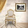 thumbnail image 3 of Lazare, Adrian 24x18 Gold Ornate Wood Framed with Double Matting Museum Art Print Titled - En Blanco Y Negro, 3 of 4