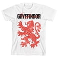 thumbnail image 5 of Harry Potter Gryffindor Grunge Effect Toddler Boy's White T-Shirt-4T, 5 of 7