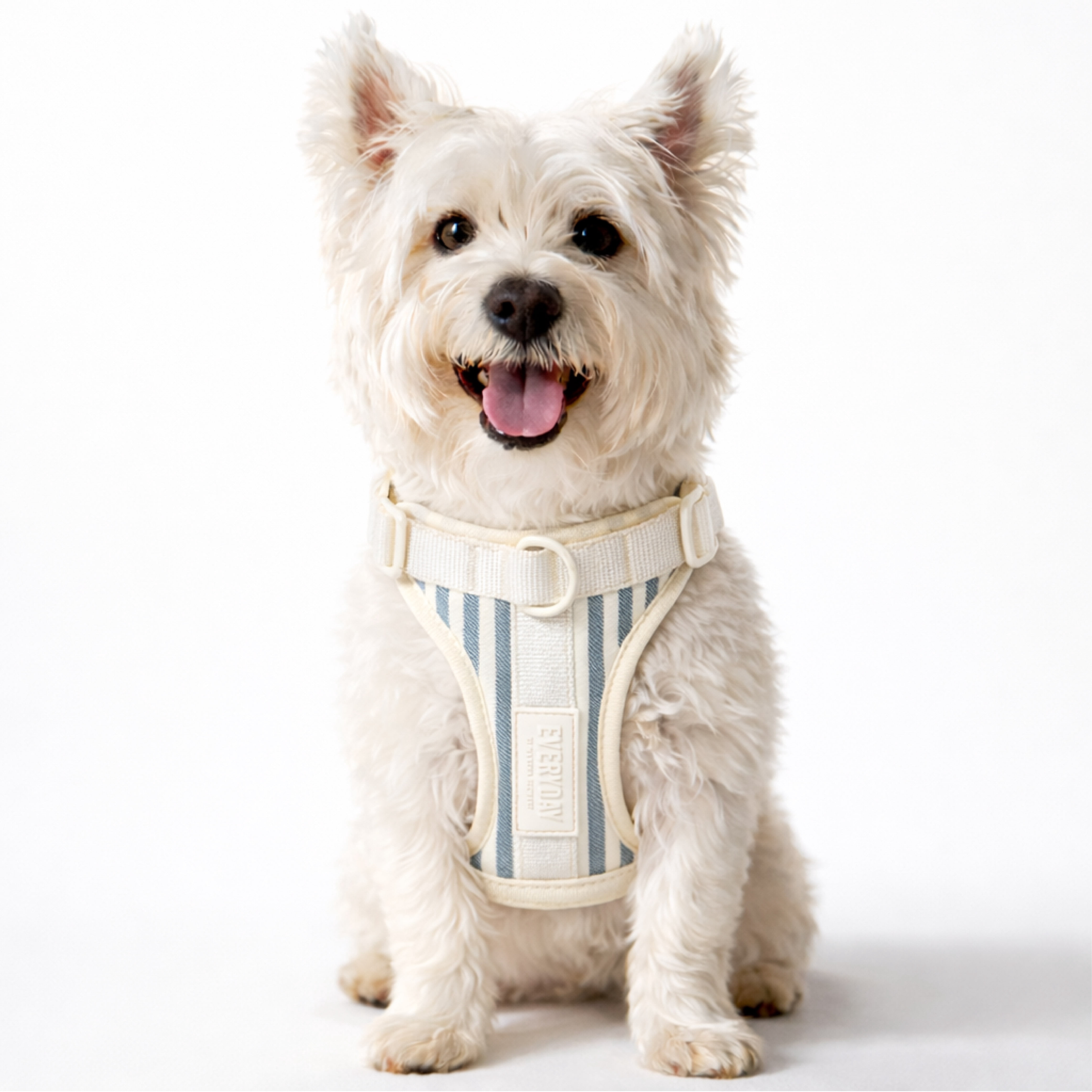 Martha Stewart Neoprene Padded Harness for Dogs - Stripe Design, Comfortable and Adjustable