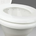 Dometic 302310031 310 Series Standard Height RV Toilet 18" Height, Slow
