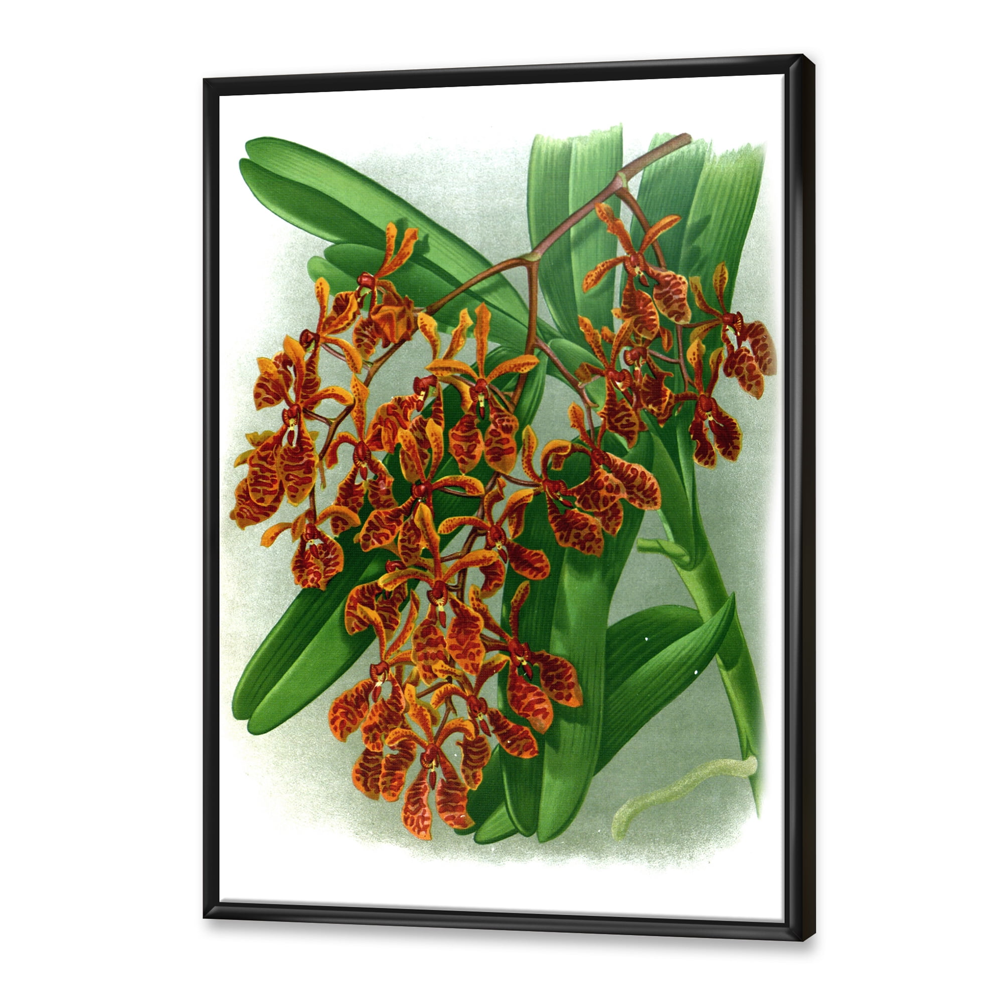 Designart 'Flowers Retro II' Farmhouse Framed Canvas Wall Art Print