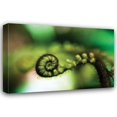 thumbnail image 1 of Bob Stefko 18x13 Gallery Wrapped Canvas Wall Art Titled - Black Tree Fern I, 1 of 4