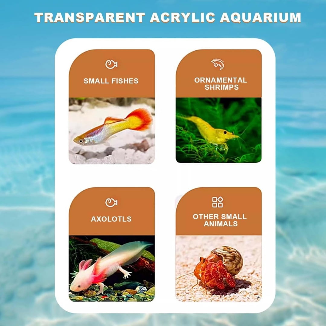 Aptliton Fish Tank Starter Kit, Aquarium with LED Light, Silent Filter Oxygen Generator and Landscaping Decor Tabletop Decoration Small Fish Tank,17.5x17.5x20cm