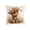 C, variant on Rirozkan Pillow Covers 18x18, Sofa Cushion Covers Set of 2, Decorative Throw Pillow Cases, Cute Highland Cow Pattern for Couch