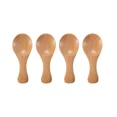 thumbnail image 1 of 4Pcs Mini Wooden Spoons Small Kitchen Spice Condiment Spoon Sugar Tea Coffee Scoop Short Handle Wood Kids Spoon Kitchen Gadgets, 1 of 6
