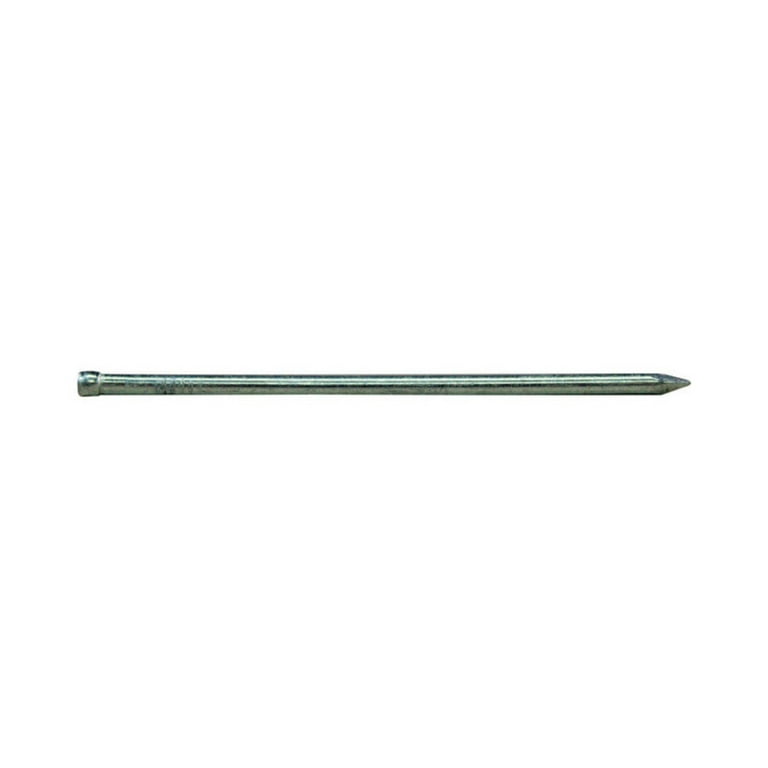 Pro-Fit 16D 3-1/2 in. Finish Hot-Dipped Galvanized Steel Nail Brad Head 1 lb Pro-Fit 16D 3-1/2 in. Finish Hot-Dipped Galvanized Steel Nail Brad Head 1 lb