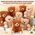 thumbnail image 3 of Juego de 8 juguetes de peluche con forma de oso Jenaai de 10 pulgadas, 3 of 6