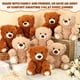 thumbnail image 3 of Peluche Jenaai de 10 pulgadas con forma de oso de peluche para niños (8 unidades), 3 of 6