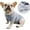 Gray, variant on French Bulldog Embroidery Cotton Dog Shirts Pet Puppy T-Shirt Clothes Outfit Apparel Coats Tops