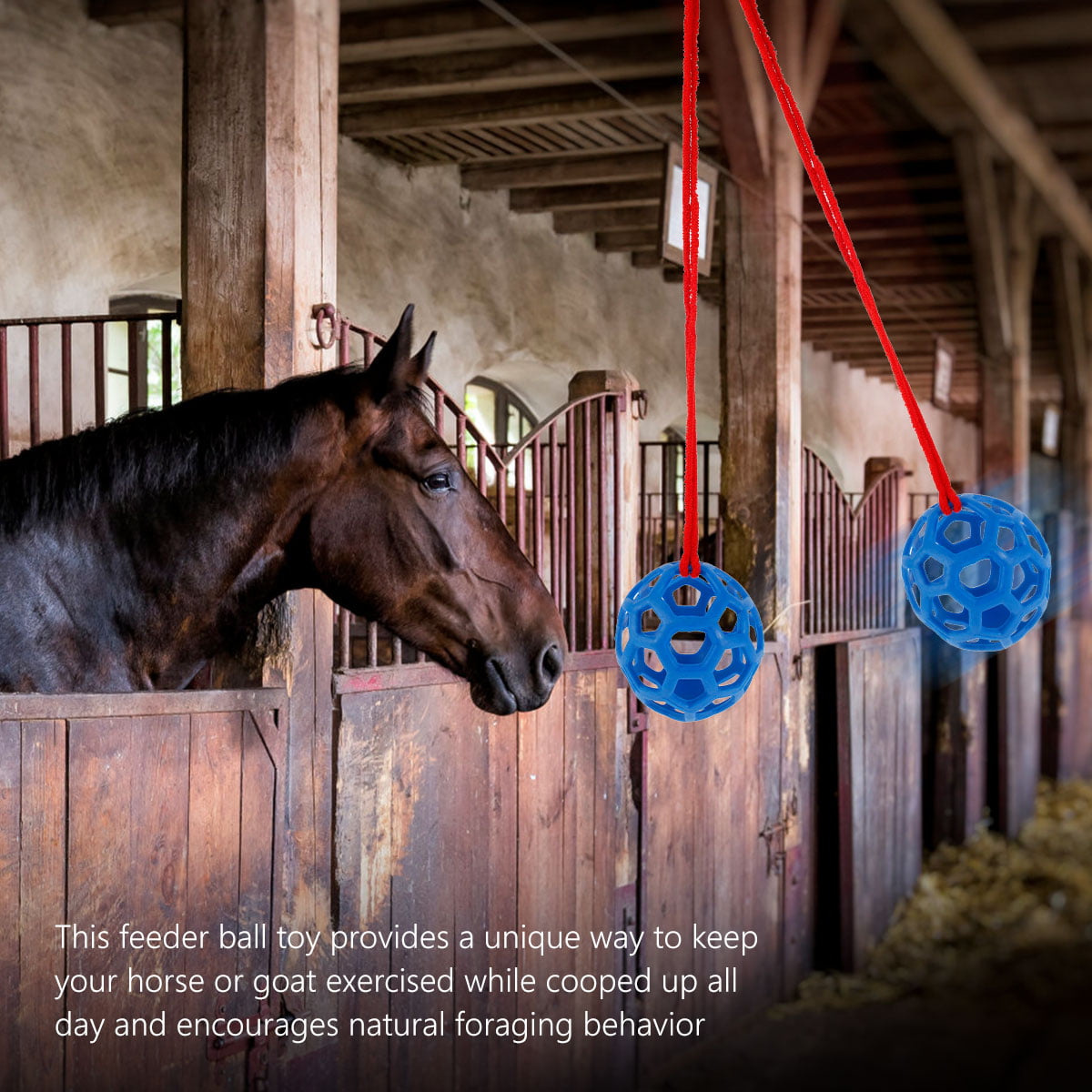 Horse Stable Stall Paddock Rest 2pcs Horse Treat Ball Hay Feeder Toy Ball Hanging Feeding Toy for Horse Horse Goat Sheep Relieve Stress 
