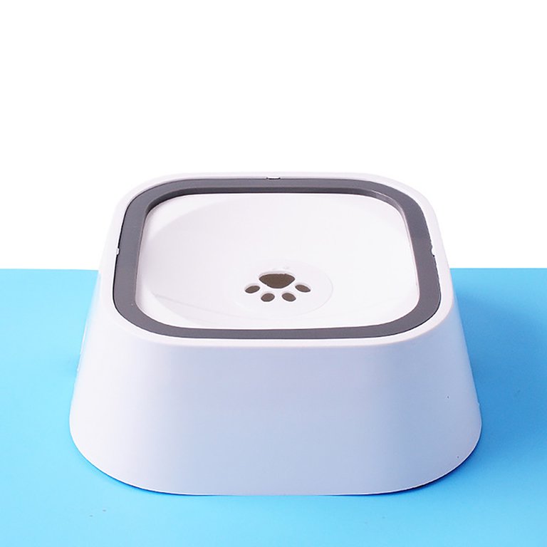 Dog Drinks Water Then Vomits visitchile.cl