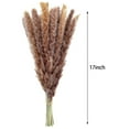 thumbnail image 2 of GRNSHTS Dried Pampas Grass Plumes 15 Pieces 17 Inch Tall Natural Dried Plants Artificial Faux Reed Flower Stems Bunch for Wedding Arrangements Vase Door Wreath Decoration, 2 of 7