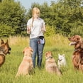 thumbnail image 4 of Dog Treat Pouch Dog Training Treat Pouch For Pet Dog Treat Bags With Adjustable Waist Belt Shoulder Strap Poop Bag Dispenser Blue, 4 of 6