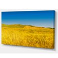thumbnail image 2 of Tuscany Whet Field on Sunny Day - Landscape Artwork Canvas, 2 of 3
