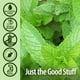 thumbnail image 5 of Suplemento herbal Nature's Answer Peppermint Leaf 30 ml, 5 of 7