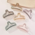 thumbnail image 3 of Pinzas para el pelo con forma de garra, transparentes, de color caramelo,juego de pinzas para el pelo, pasador grueso, accesorios para el cabello para mujeres y niñas (caramelo transparente), 3 of 5
