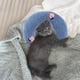 thumbnail image 4 of Almohada para el cuello para mascotas, cojín de entrenamiento para abrazar, juguetes interactivos cómodos, juguete para masticar, almohada para dormir Azul Colco Almohada de mascotas, 4 of 7