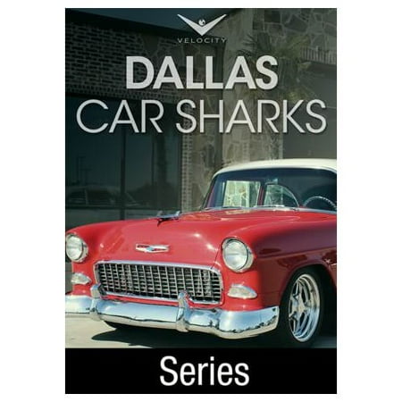 Dallas Car Sharks Season Dallas Car Sharks Season
