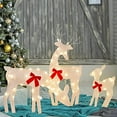 thumbnail image 7 of Light Up Deer, Christmas Yard Decoration, 60 LEDs Lighted Deer Christmas Decoration, Indoor Outdoor 2D Lighted Deer Family for Christmas Yard Decoration Light Up Display, 7 of 7