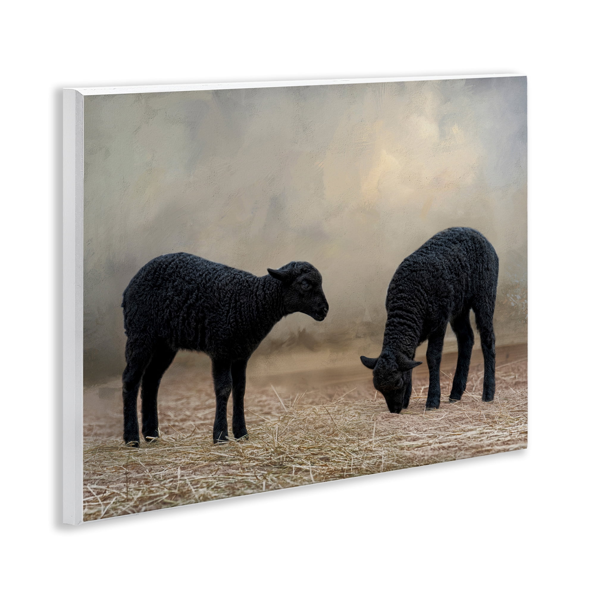 Stupell Industries Black Sheep Grazing Animals & Insects Photography Unframed Art Print Wall Art, 14 x 11