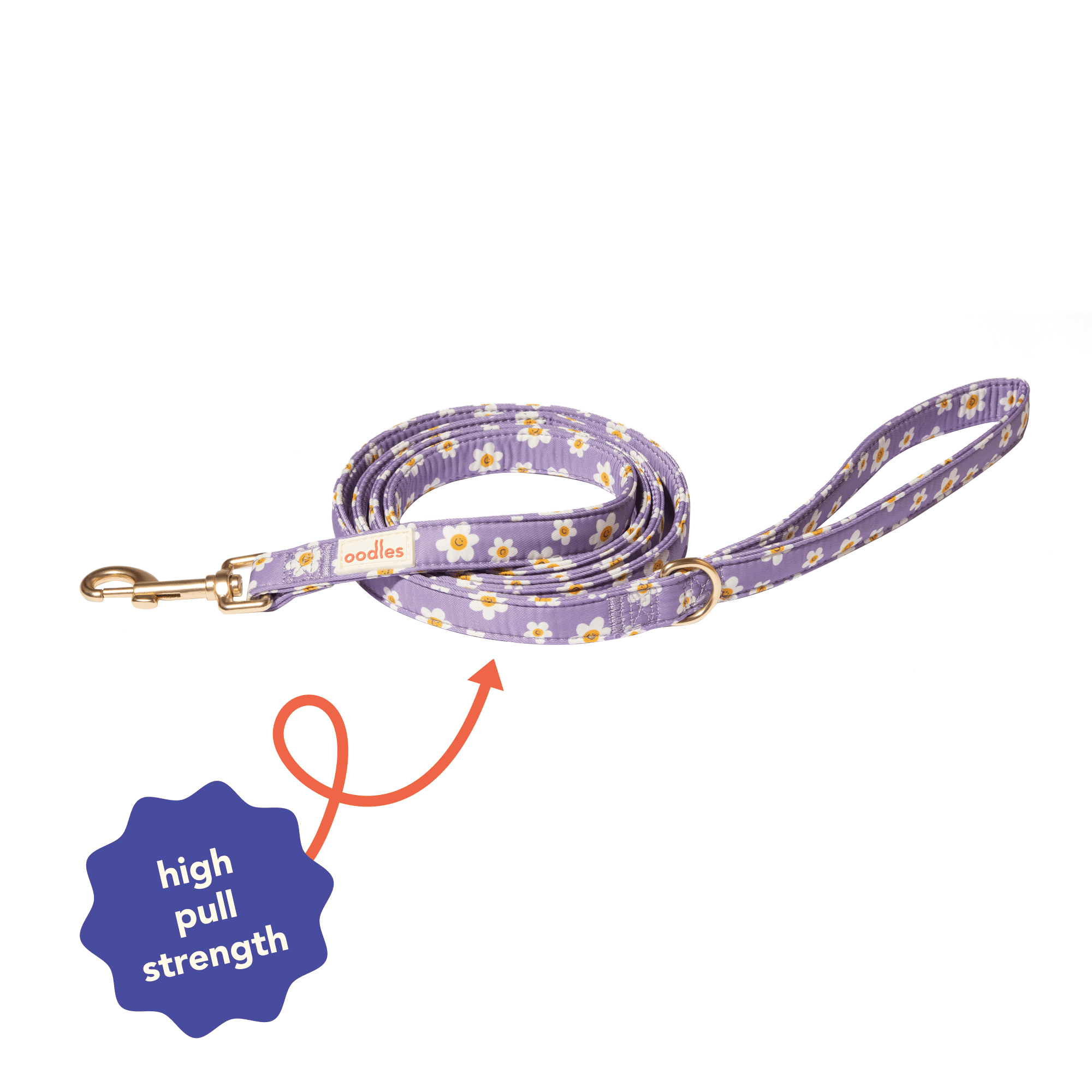 Oodles Floral Smiley Dog Walking 3 Piece Set, Medium