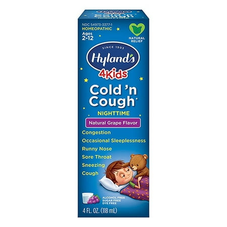 Hylands Kids Nighttime Cold and Cough Syrup by 4Kids, 4 (The Best Cough Syrup For Kids)