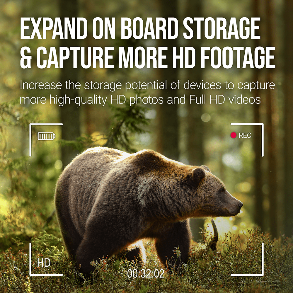 PNY 32GB Elite Class 10 U1 V10 SDHC Trail Camera Flash Card - Read up to 100MB/s, UHS-I, HD Outdoor & Wildlife Content, 2-Pack (Packaging May Vary)