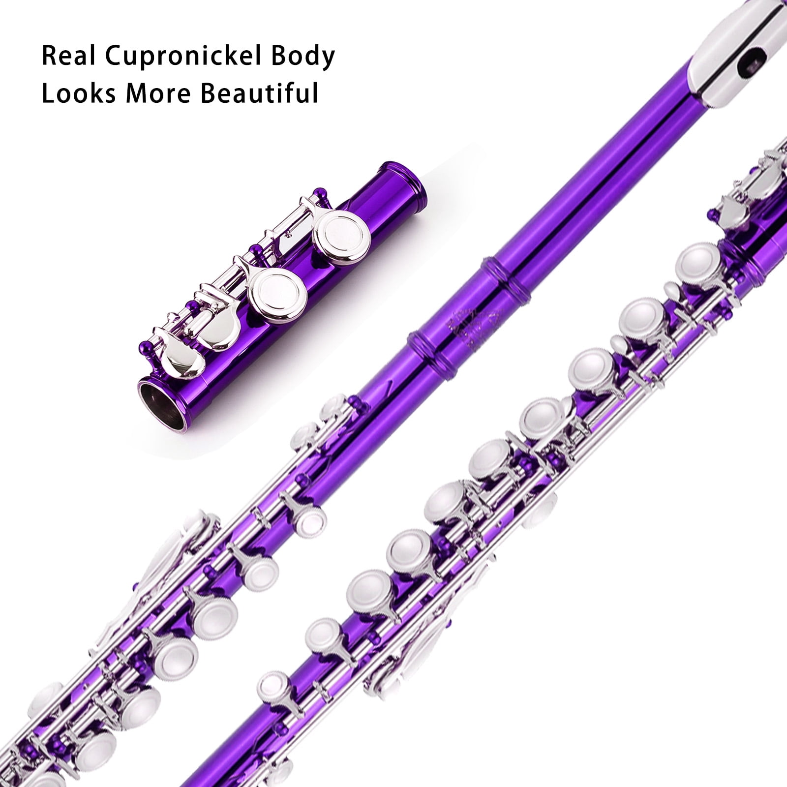 EASTROCK Closed Hole Nickel Plated Flute Soprano Recorder in C 16 with Professional Care Set for School Ensembles and Beginners Purple