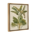 thumbnail image 4 of Stupell Industries Vintage Tropical Plant Botanical & Floral Painting Brown Floater Framed Canvas Art Print Wall Art, 25 x 31, 4 of 10