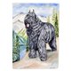 thumbnail image 1 of Bandera de Bouvier Des Flandres pequeña multicolor Caroline's Treasures 7049GF, 1 of 1