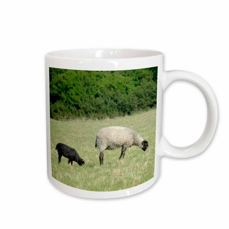 

Denmark Bornholm Sheep farm animal - EU07 CMI0091 - Cindy Miller Hopkins 15oz Mug mug-81282-2