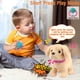 thumbnail image 4 of Peluche parlante Koonie Golden Retriever para niños, 4 of 7