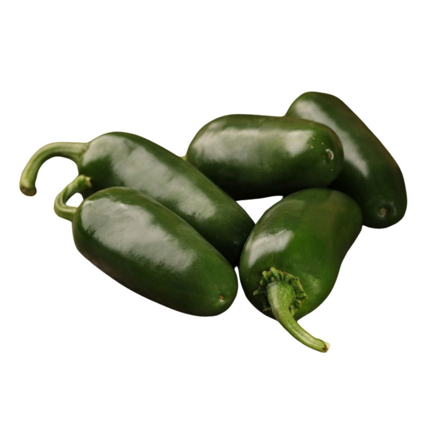 Proven Winners 4" Mucho Nacho Jalapeno Live Plant in 4.25" Pot (4 Count)