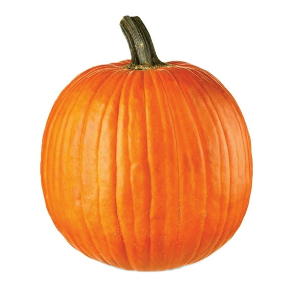 Pumpkin, 1 ct.