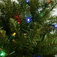 thumbnail image 2 of 4' Pre-Lit Northern Pine Full Artificial Christmas Tree - Multi-Color LED Lights, 2 of 2