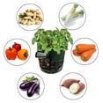 thumbnail image 3 of 2 Piezas De Bolsas De Reutilizables s De Balcón Baoblaze Jardinera de contenedores de cultivo, 3 of 8
