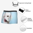 thumbnail image 6 of Bingfone Puppy Licks Nose Men'S Underwear - Casual Stretch Boxer Briefs-Xx-Large, 6 of 9