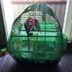 thumbnail image 3 of Malla de nailon para jaula de pájaros, red de fácil limpieza, protector de colector de semillas (verde S) Ndcxsfigh  Para estrenar, 3 of 8