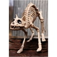 thumbnail image 4 of Skeleton Cat, 4 of 5
