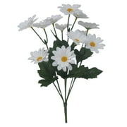 Mini Daisy