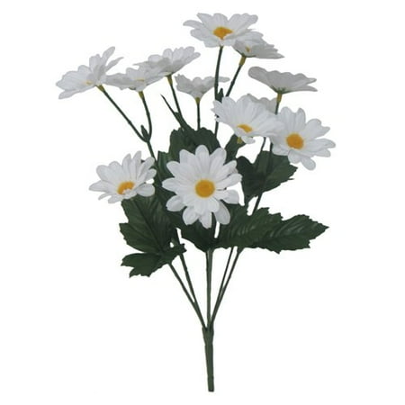 Mini Daisy